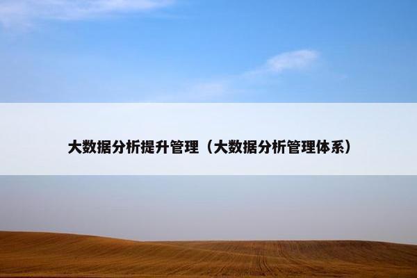 大数据分析提升管理（大数据分析管理体系）