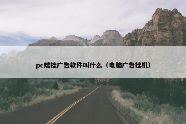 pc端挂广告软件叫什么（电脑广告挂机）
