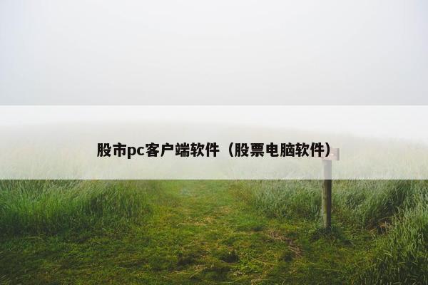 股市pc客户端软件（股票电脑软件）