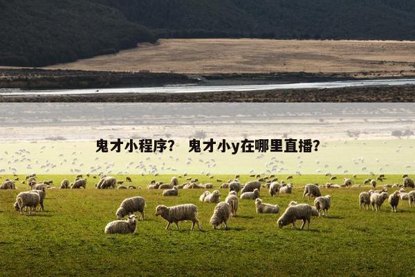 鬼才小程序？ 鬼才小y在哪里直播？