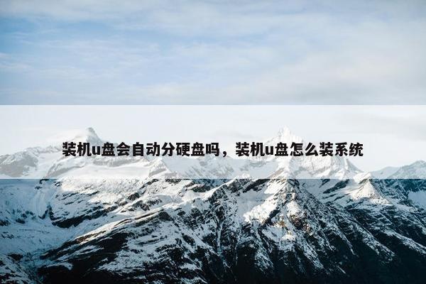 装机u盘会自动分硬盘吗，装机u盘怎么装系统