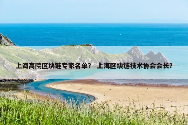 上海高院区块链专家名单？ 上海区块链技术协会会长？