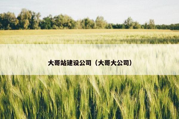 大哥站建设公司（大哥大公司）