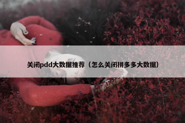 关闭pdd大数据推荐（怎么关闭拼多多大数据）