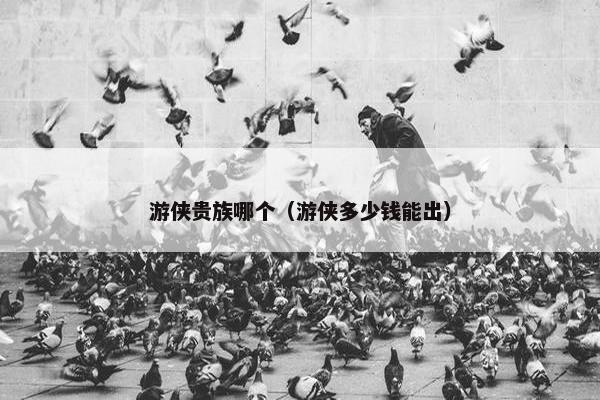 游侠贵族哪个（游侠多少钱能出）