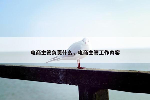 电商主管负责什么，电商主管工作内容