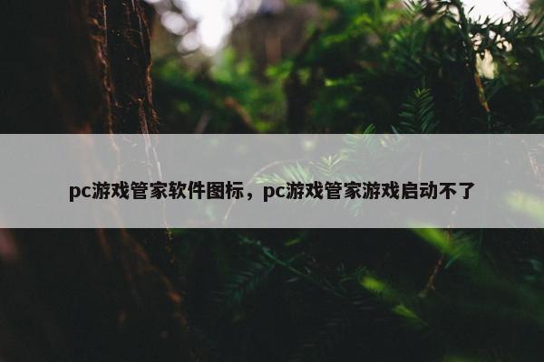 pc游戏管家软件图标，pc游戏管家游戏启动不了
