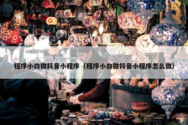 程序小白做抖音小程序（程序小白做抖音小程序怎么做）