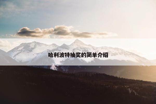 哈利波特抽奖的简单介绍