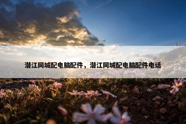 潜江同城配电脑配件，潜江同城配电脑配件电话