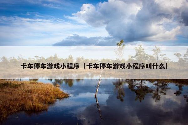 卡车停车游戏小程序（卡车停车游戏小程序叫什么）