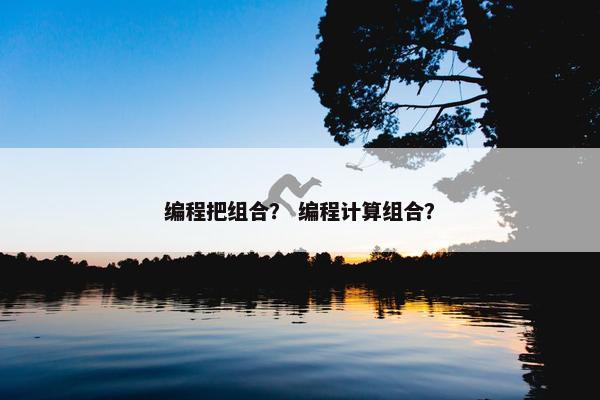 编程把组合？ 编程计算组合？