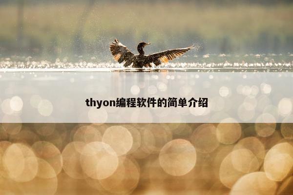 thyon编程软件的简单介绍