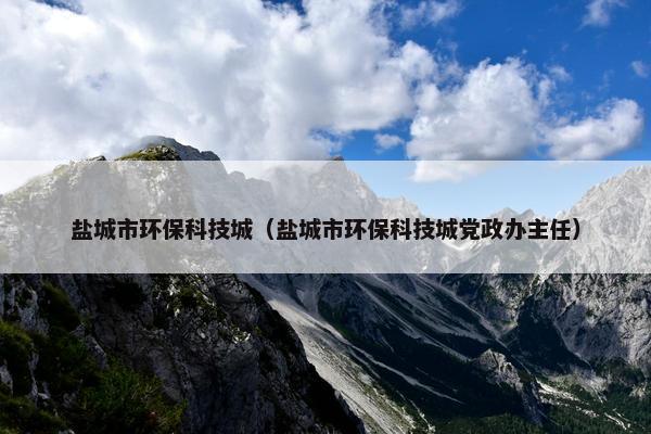 盐城市环保科技城（盐城市环保科技城党政办主任）