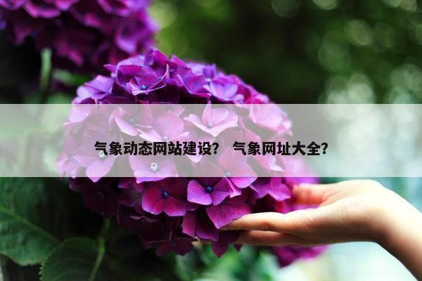 气象动态网站建设？ 气象网址大全？