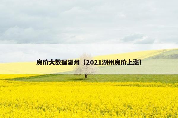 房价大数据湖州（2021湖州房价上涨）