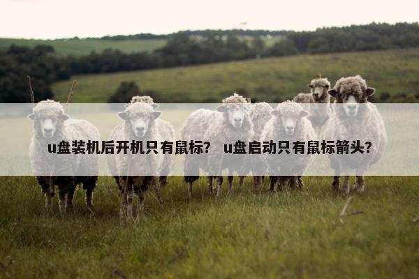 u盘装机后开机只有鼠标？ u盘启动只有鼠标箭头？