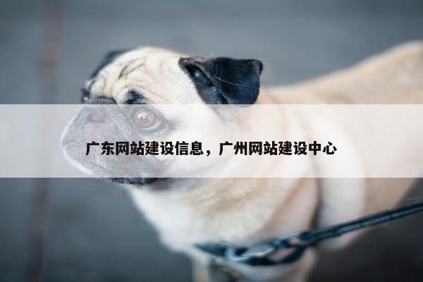 广东网站建设信息，广州网站建设中心