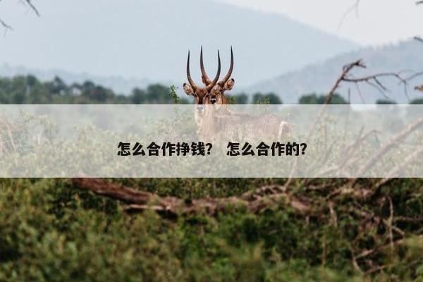 怎么合作挣钱？ 怎么合作的？