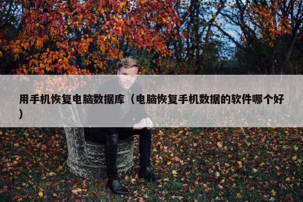 用手机恢复电脑数据库（电脑恢复手机数据的软件哪个好）