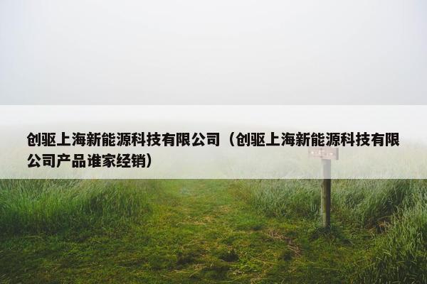创驱上海新能源科技有限公司（创驱上海新能源科技有限公司产品谁家经销）