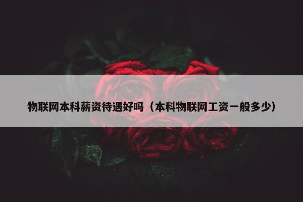 物联网本科薪资待遇好吗（本科物联网工资一般多少）
