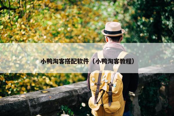 小鸭淘客搭配软件（小鸭淘客教程）