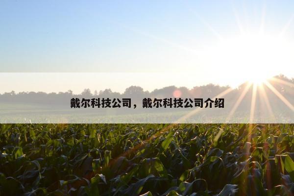 戴尔科技公司，戴尔科技公司介绍
