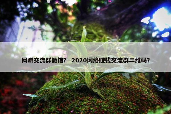 网赚交流群微信？ 2020网络赚钱交流群二维码？