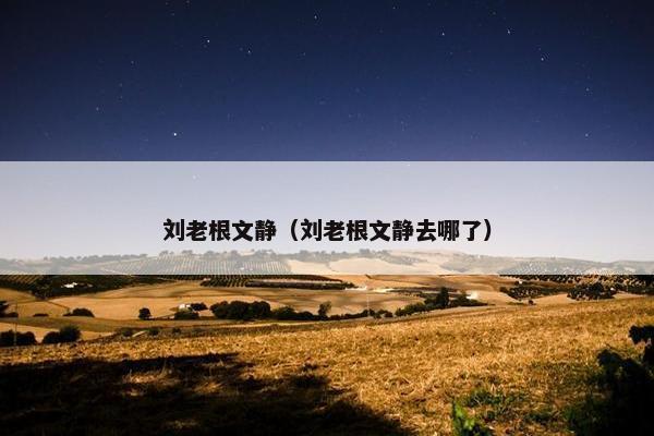 刘老根文静（刘老根文静去哪了）