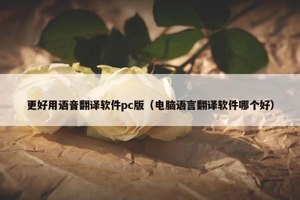更好用语音翻译软件pc版（电脑语言翻译软件哪个好）