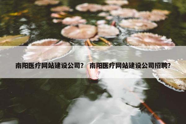 南阳医疗网站建设公司？ 南阳医疗网站建设公司招聘？