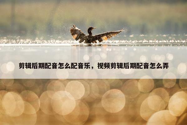 剪辑后期配音怎么配音乐，视频剪辑后期配音怎么弄