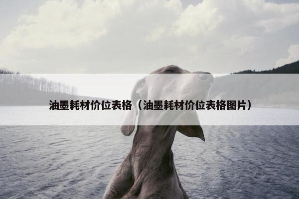 油墨耗材价位表格（油墨耗材价位表格图片）