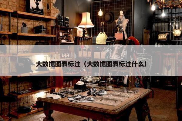大数据图表标注（大数据图表标注什么）