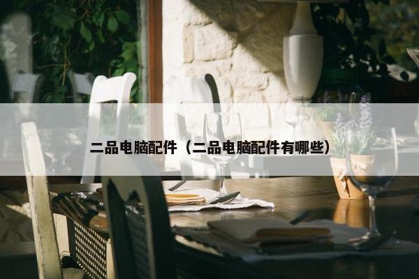 二品电脑配件（二品电脑配件有哪些）
