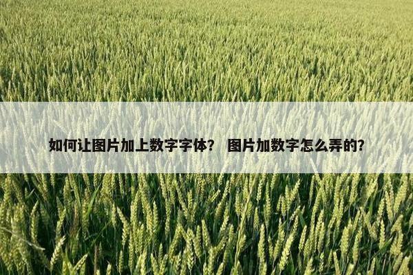 如何让图片加上数字字体？ 图片加数字怎么弄的？