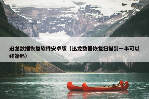 迅龙数据恢复软件安卓版（迅龙数据恢复扫描到一半可以终端吗）