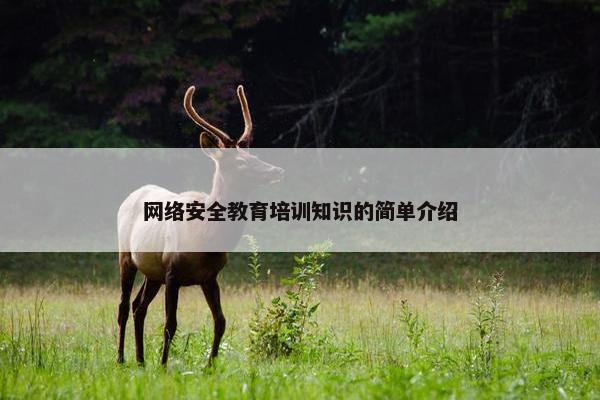 网络安全教育培训知识的简单介绍