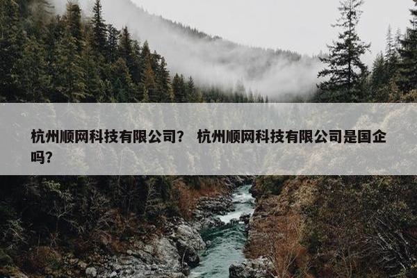 杭州顺网科技有限公司？ 杭州顺网科技有限公司是国企吗？