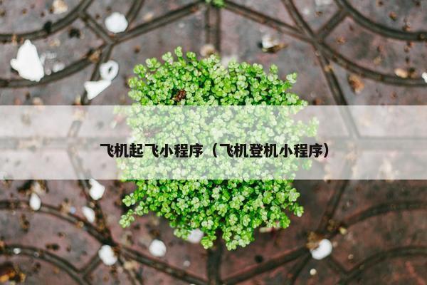 飞机起飞小程序（飞机登机小程序）