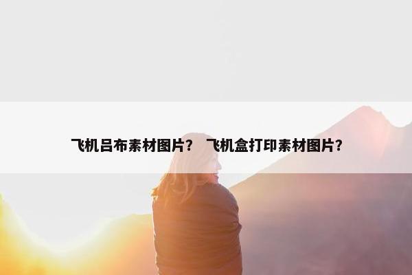 飞机吕布素材图片？ 飞机盒打印素材图片？