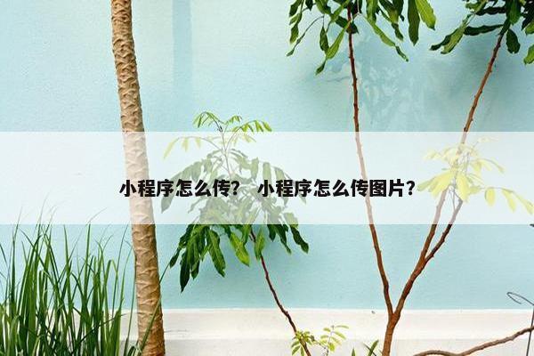 小程序怎么传？ 小程序怎么传图片？