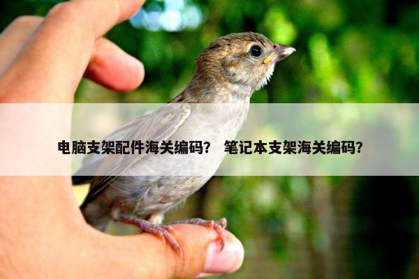 电脑支架配件海关编码？ 笔记本支架海关编码？