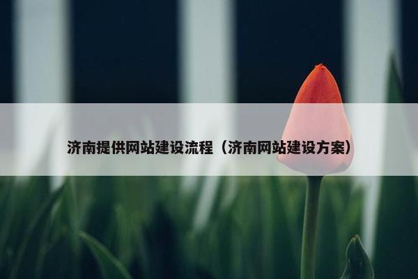 济南提供网站建设流程（济南网站建设方案）