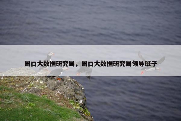 周口大数据研究局，周口大数据研究局领导班子
