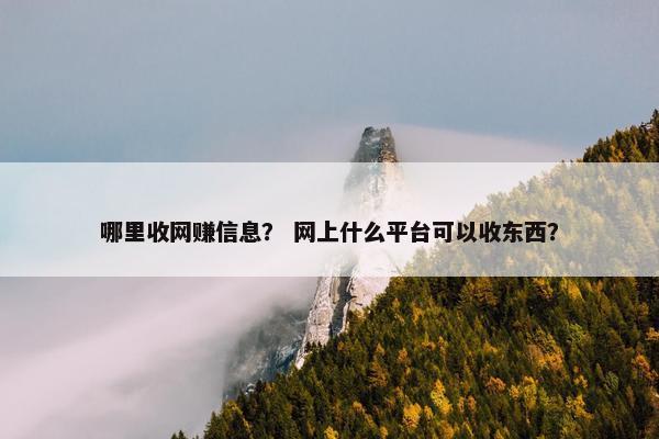 哪里收网赚信息？ 网上什么平台可以收东西？