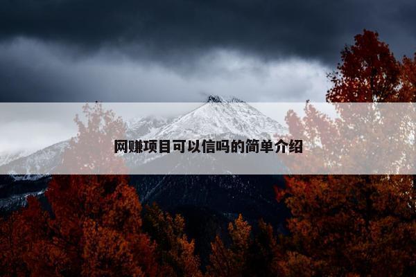 网赚项目可以信吗的简单介绍