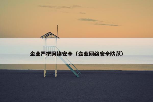 企业严把网络安全（企业网络安全防范）