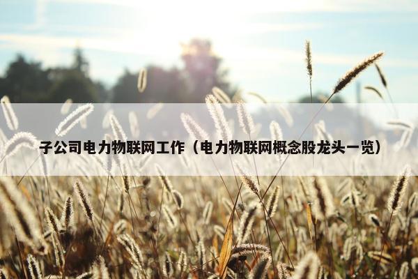 子公司电力物联网工作（电力物联网概念股龙头一览）